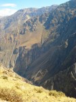 colca canyon arequipa peru 9 colca canyon arequipa peru 9