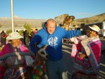 colca canyon arequipa peru bird llama cholas colca canyon arequipa peru bird llama cholas