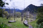 This on Machu Picchu!