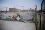 pelican Pelican mural