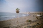 97650036 Chinchorro Beach