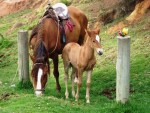 DSC00580 DSC00580
