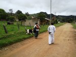 alejandro cow alejandro cow