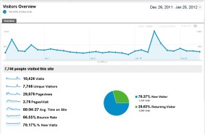 expat chronicles google analytics january 2012