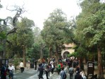 forbidden city imperial garden