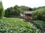 summer palace marsh building