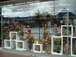 bogota colombia galerias window flowers bogota colombia galerias window flowers