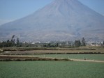 arequipa peru misti sachaca grass arequipa peru misti sachaca grass