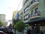 lima miraflores kennedy park peru starbucks lima miraflores kennedy park peru starbucks