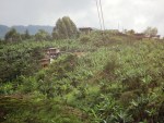 jardin antioquia colombia countryside cable car 9