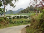 jardin antioquia colombia countryside curuba farm