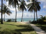 san andres colombia johnny cay 10