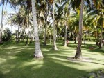 san andres colombia johnny cay 11