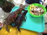 Lobster and shellfish.