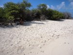 san andres colombia johnny cay isolated 2