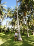 san andres colombia johnny cay milagros 12