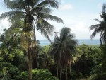 san andres colombia view 2